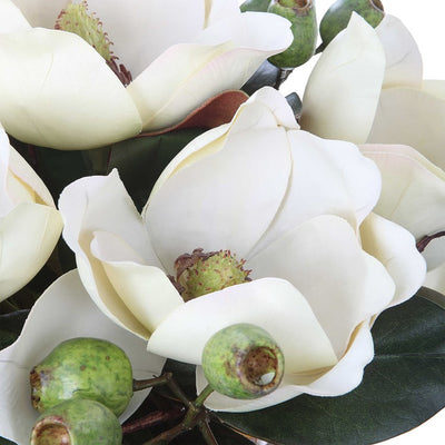 Dobbins Magnolia Bouquet F,oral