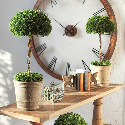 Preserved Boxwood Topiary Tree Floral