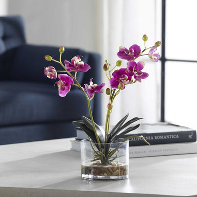 Glory Floral Orchid, Fuschia