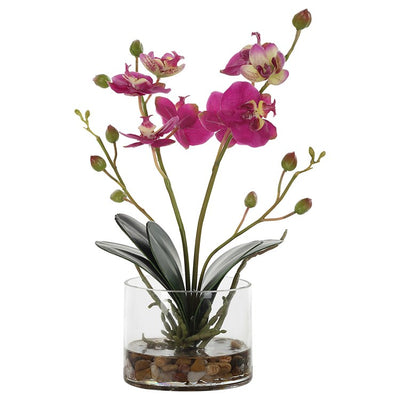 Glory Floral Orchid, Fuschia