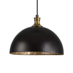Placuna 1 Light Bronze Pendant