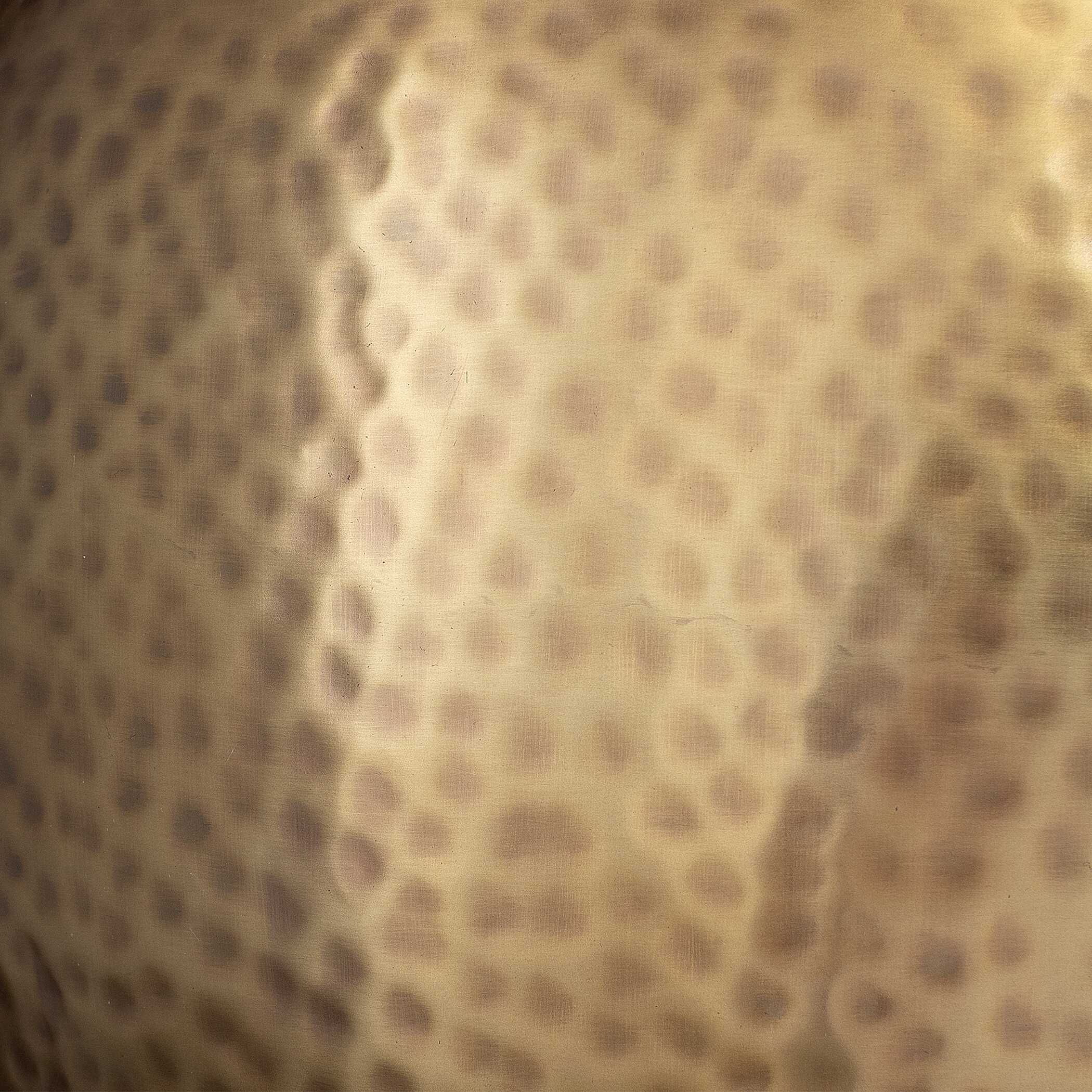 Lemont Hammered Brass 1 Light Pendant