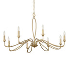 Corella 8 Light Chandelier