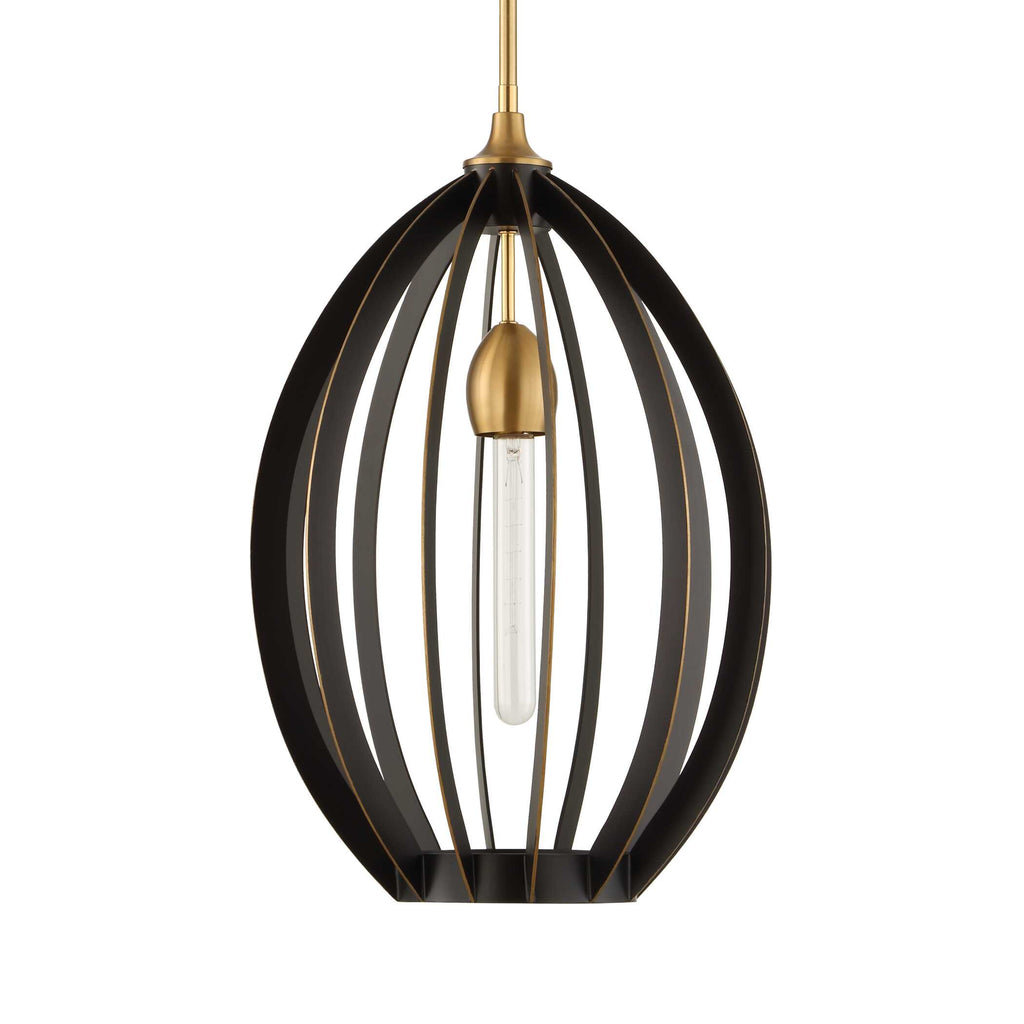 Darby 1 Light Architectural Oval Pendant