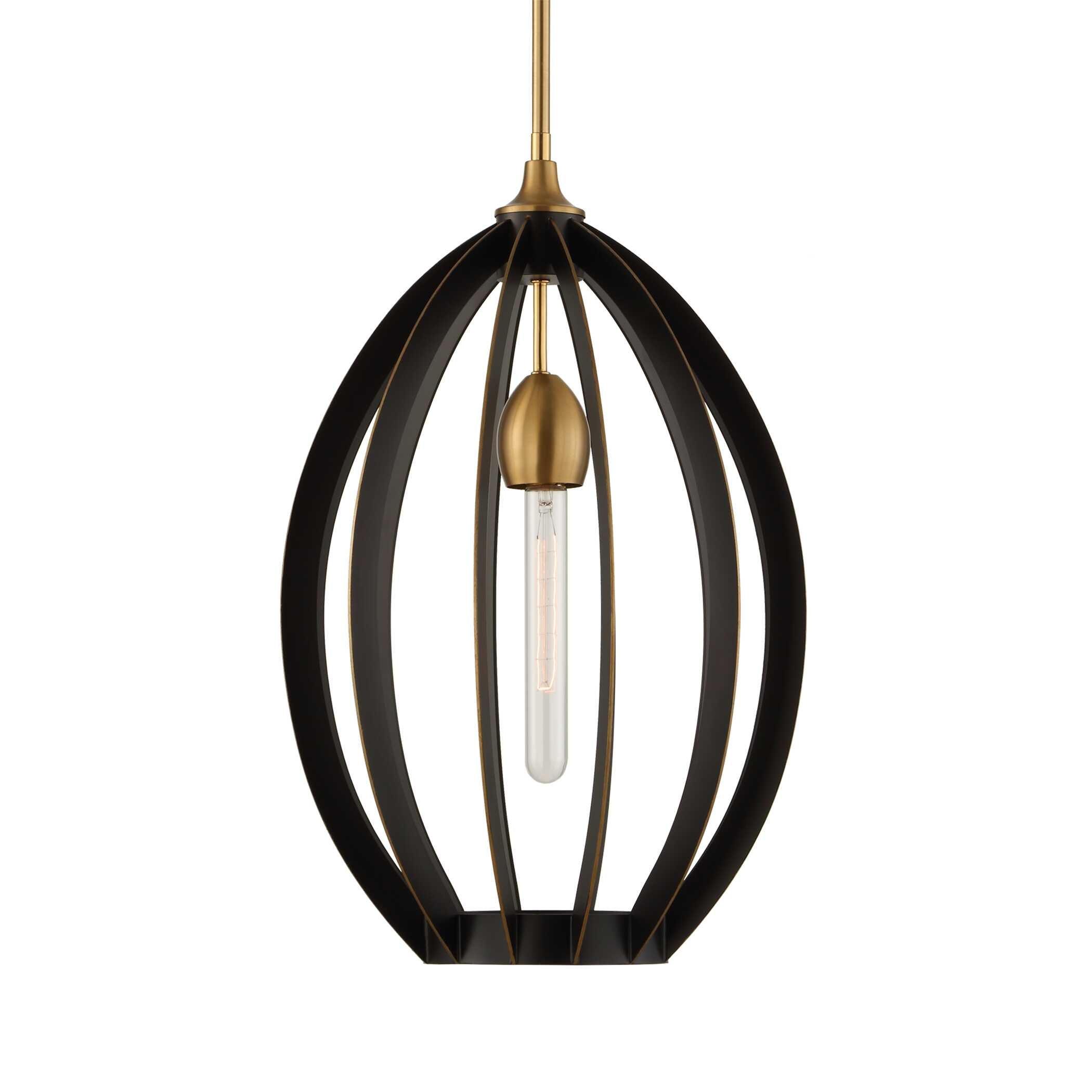 Darby 1 Light Architectural Oval Pendant