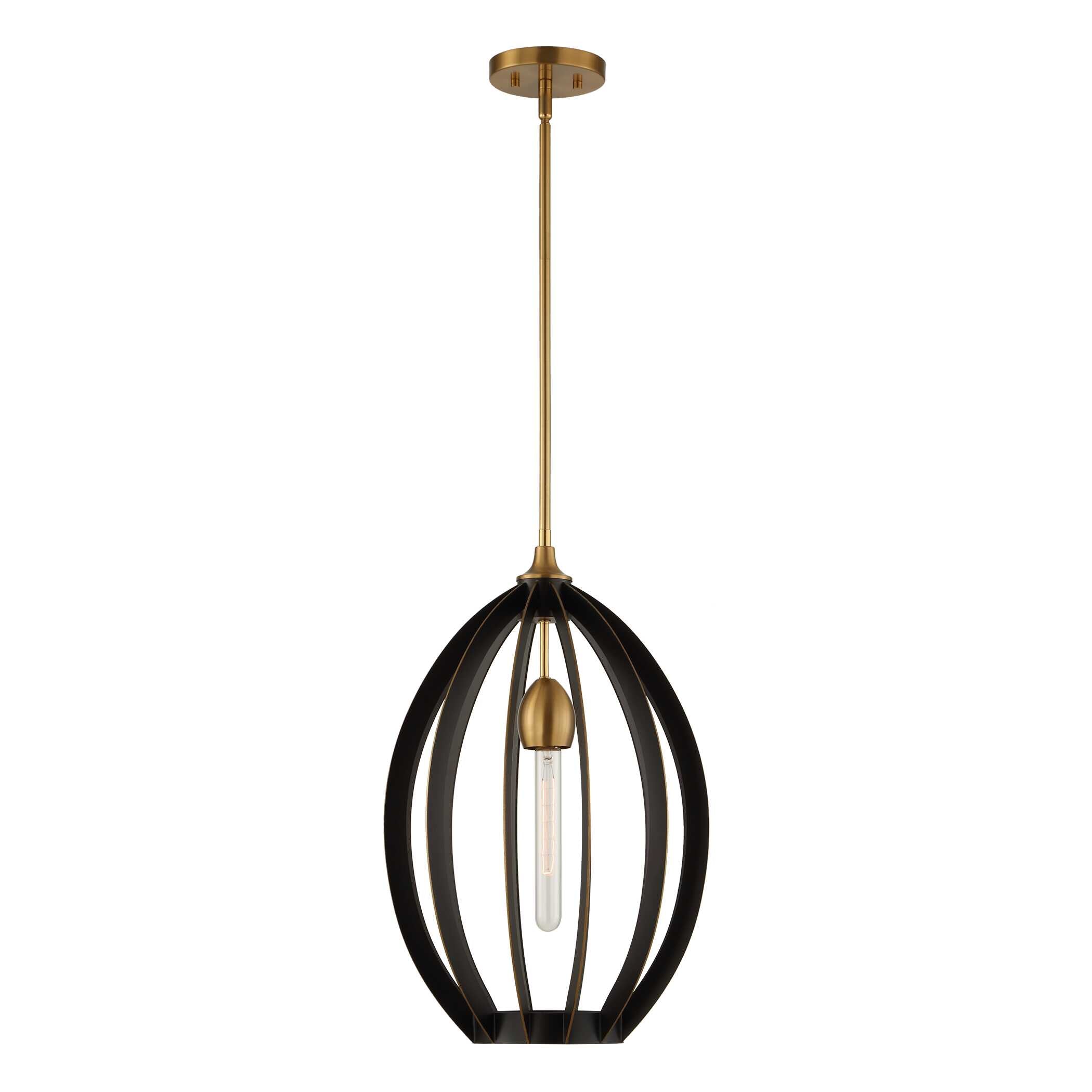 Darby 1 Light Architectural Oval Pendant