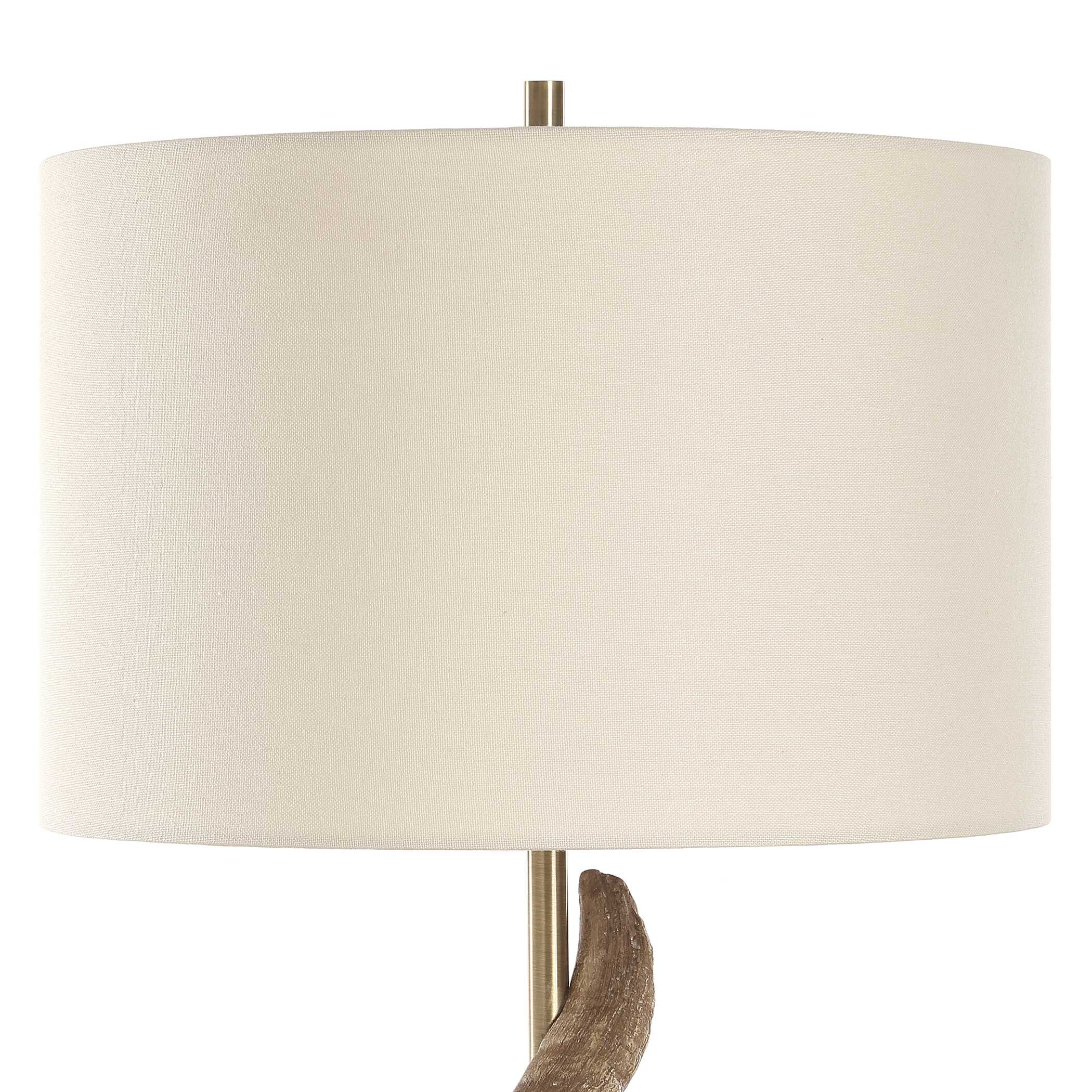 Rams Horn Table Lamp