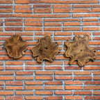 Kalani Teak Wall DecorSet/3