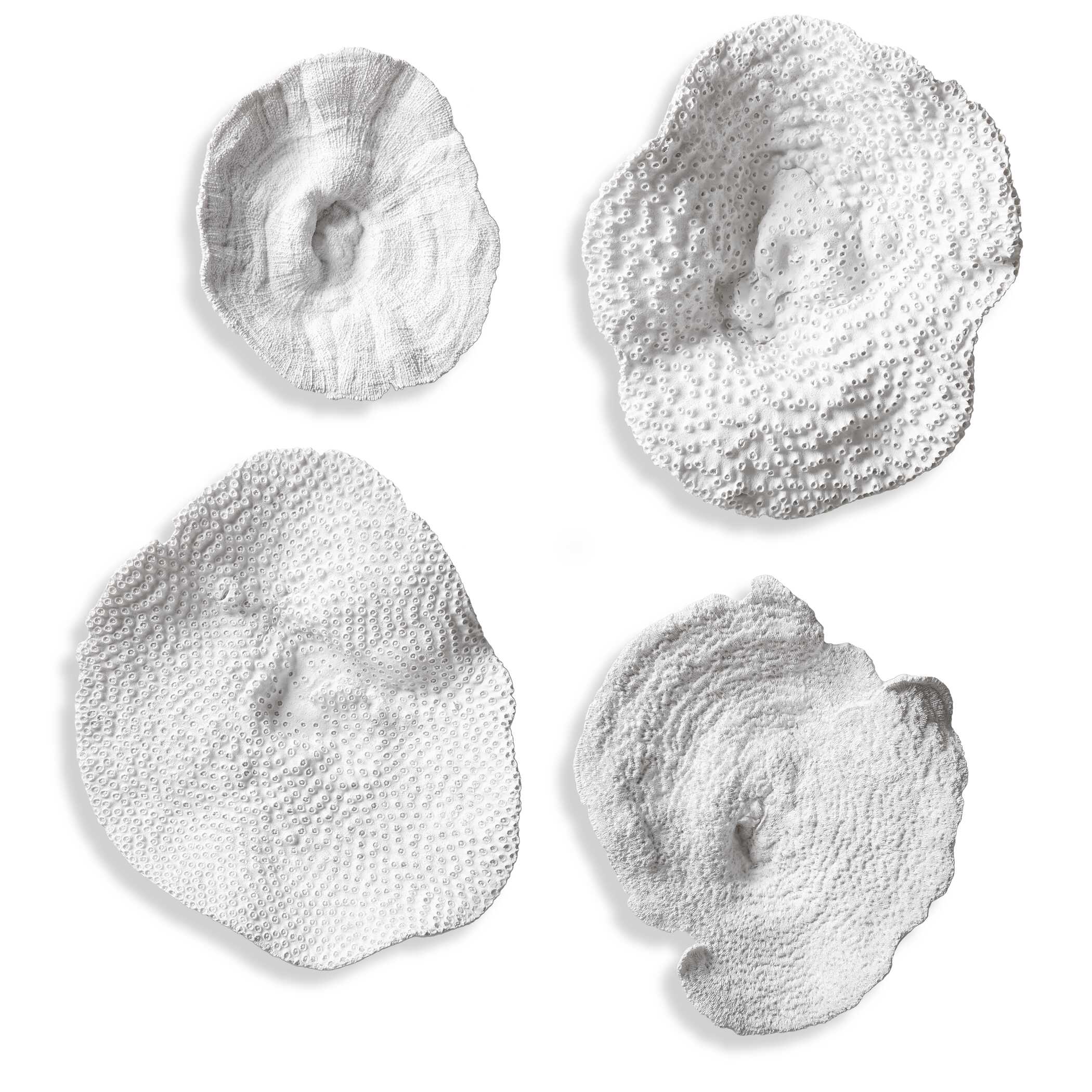 Sea Coral Wall Decor Set/4