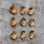 Tamarine Wood Wall Decor Set/3