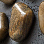 Pebbles Walnut Wood Wall Decor Set/9