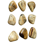 Pebbles Blonde Wood Wall Decor Set/9