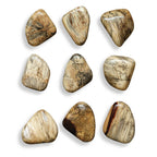 Pebbles Blonde Wood Wall Decor Set/9