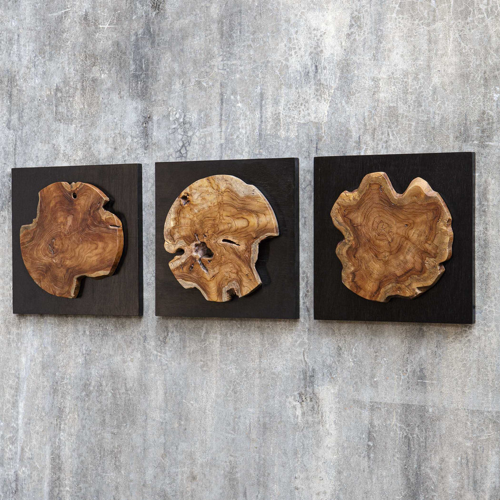 Kolini Teak Wood Wall Decor Set/3