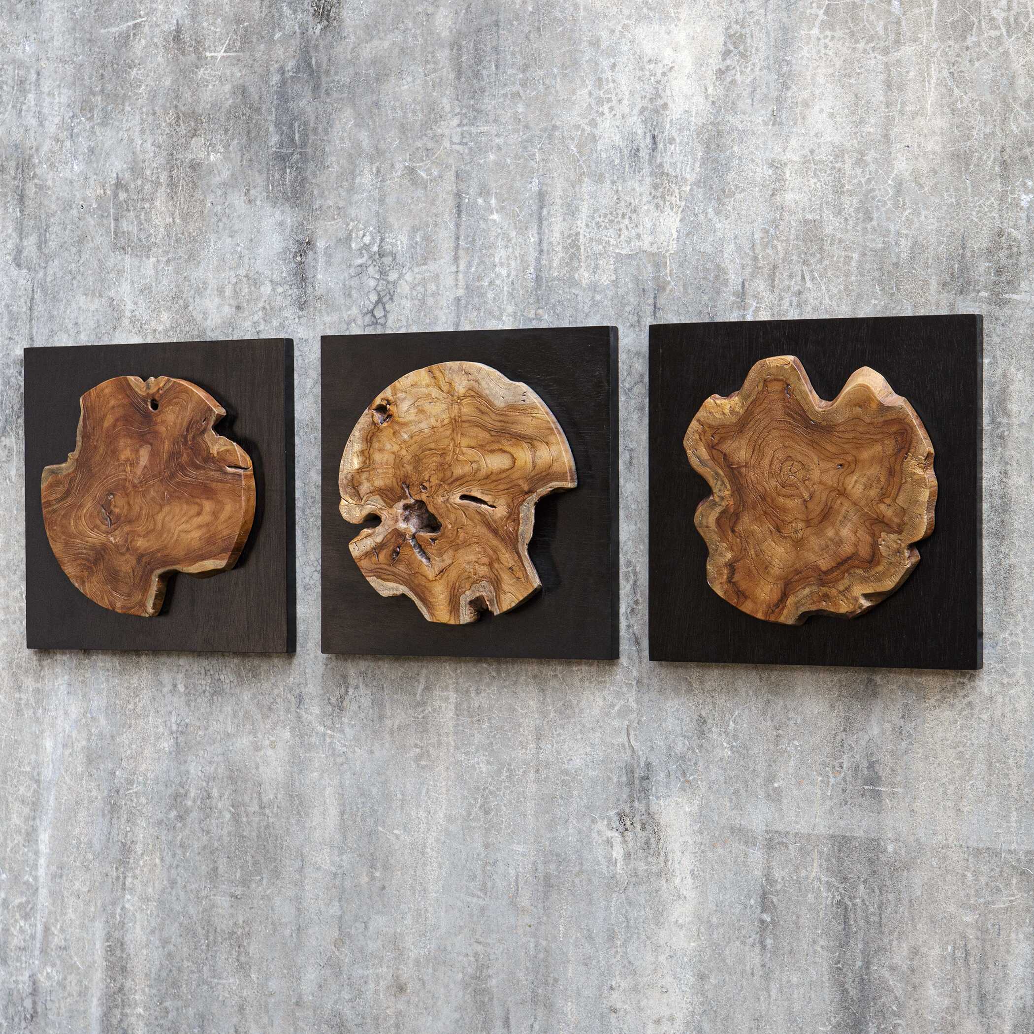 Kolini Teak Wood Wall Decor Set/3