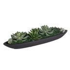 Verde Succulent Centerpiece