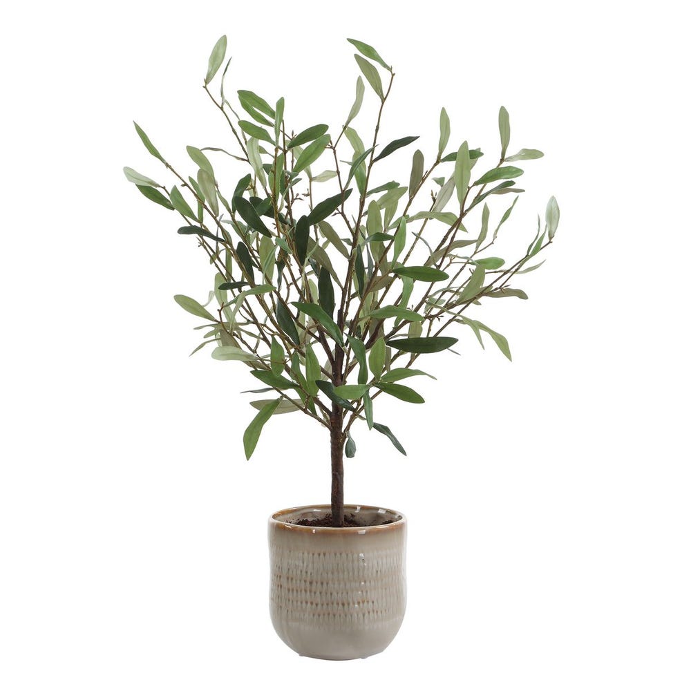 Solea Olive Vase