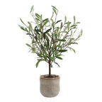 Solea Olive Vase
