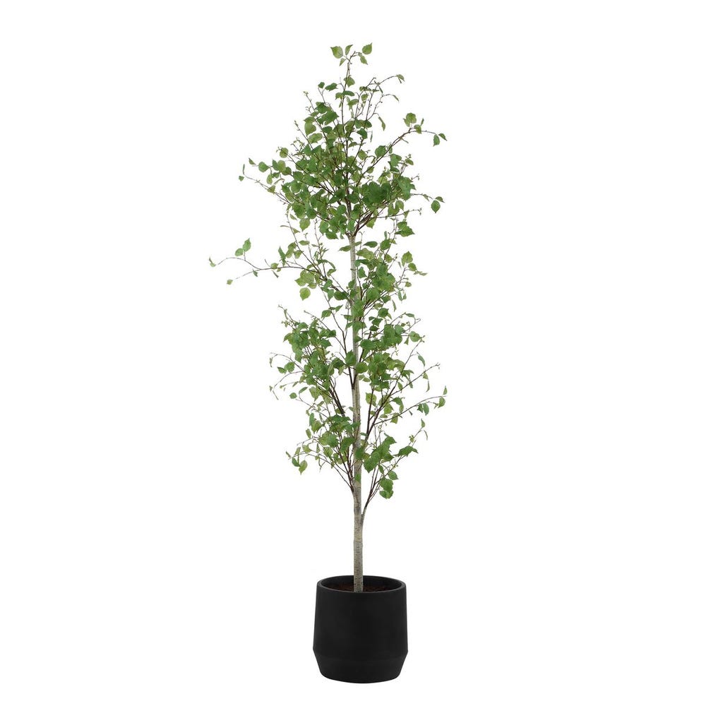 Boreal Potted Birch Tree