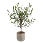 Solea Olive Vase