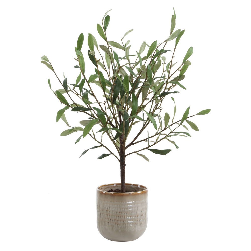 Solea Olive Vase