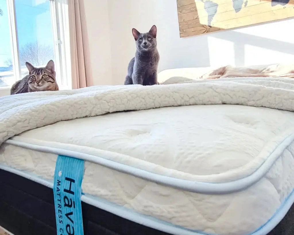 Haven Eurotop Hybrid mattress featuring advanced cooling technology and a pocketed coil core for superior motion isolation and pressure relief.