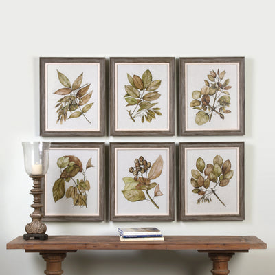 Straying From The Classic Botanical Print, This Art Set Evokes A Masculine Style. Each Is Printed On Parchment Paper And S...