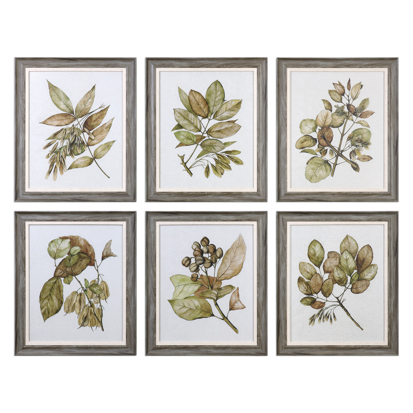 Straying From The Classic Botanical Print, This Art Set Evokes A Masculine Style. Each Is Printed On Parchment Paper And S...