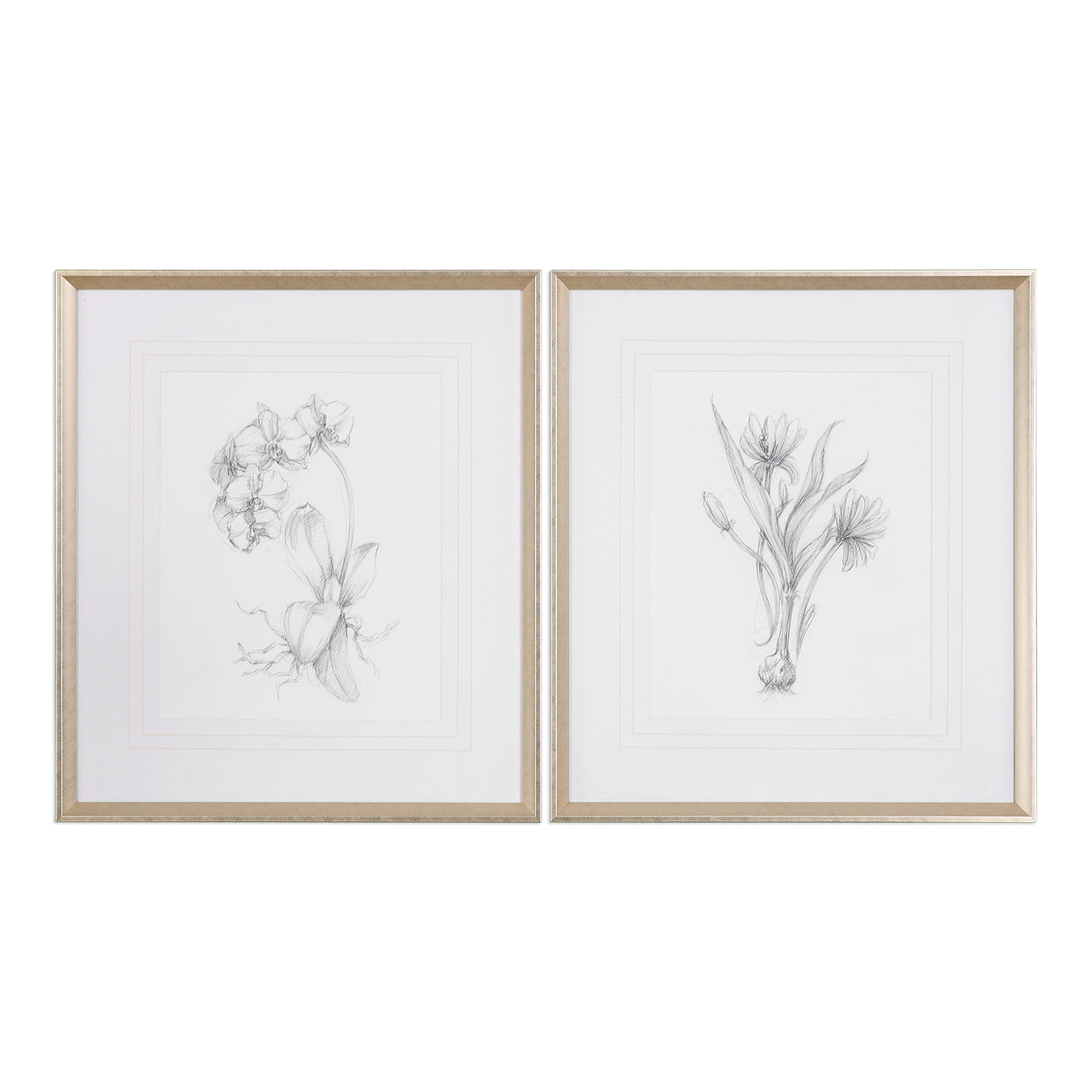 Minimalist In Design, These Simple Floral Sketches Work Seamlessly With A Variety Of Styles. Each Sketch Is Surrounded By ...