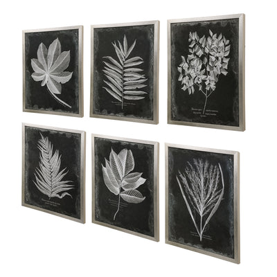 This Botanical Artwork Showcases Vintage Style With A Contemporary Edge. Each Striking Black And White Contrast Is Accente...