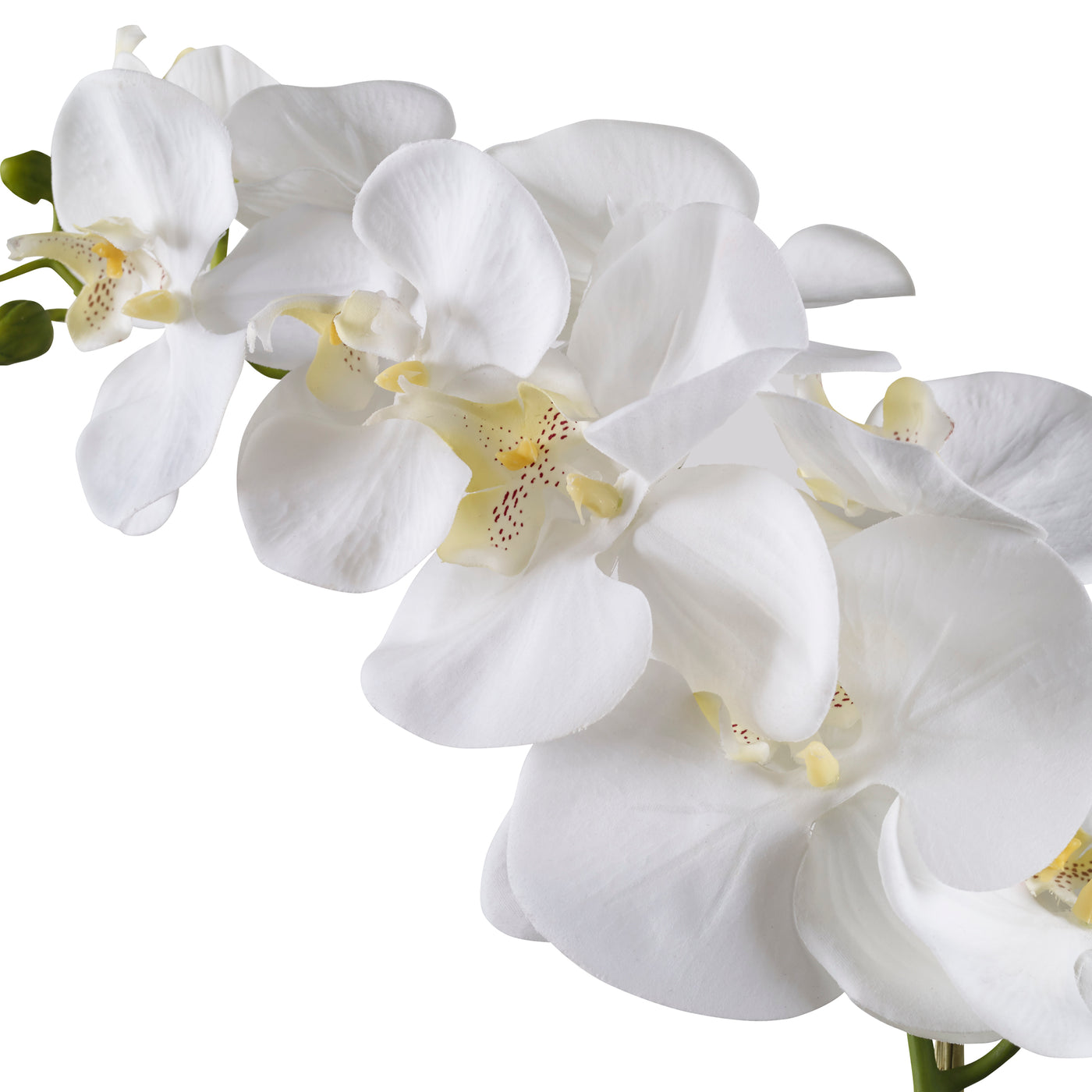 MHA Cecily Hydrangea Bouquet